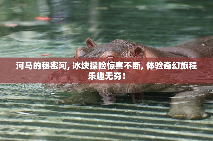 河马的秘密河, 冰块探险惊喜不断, 体验奇幻旅程乐趣无穷！
